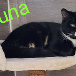 Runa wohnt fortan in eine Frauen-WG und fühlt sich pudelwohl.  Sie ist auf einem Auge blind. 