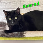 Konrad hat ein neues Heim gefunden.