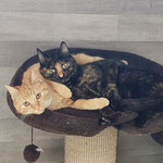 Bibi und Kiki wohnen nun in Otterberg.