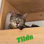 Tilda ist nach Rüsselsheim gezogen.