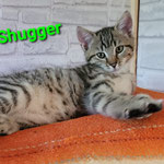 Shugger wohnt künftig in Kelsterbach.