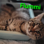 Auch Flummy ist gut untergekommen.