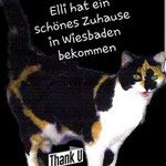 Ellie hat wieder eine neue tolle Familie gefunden.