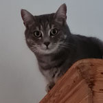 Tenny lebt jetzt in Bad Dürkheim.