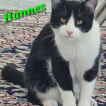 Hannes hat eine neue Bleibe.