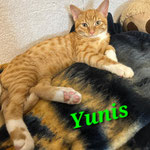 Yunis wohnt künftig in Knetzgau.