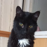 Max Senior hat sein neues Heim gefunden.