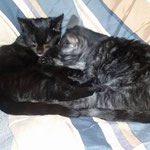 Mia und Chipsy sind nach Kaiserslautern gezogen. 