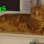 Rufus hat seine neue Heimat gefunden.