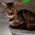 Holly ist gut untergekommen.