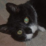 Oldie Puschelchen darf in der schönen Pfalz bleiben