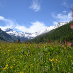Aussicht Richtung Süden