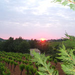 7h28, 25 mai 2015 ,levé de soleil sur les vignes 