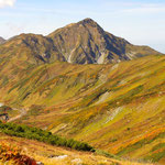 富山が作る本気の秋　2022年10月　北アルプス立山　加藤宏汰（写真部）