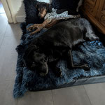 Kiara, 14 Jahre
