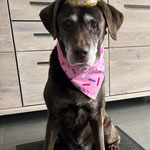 Finja, 14. Geburtstag