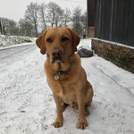 Henry