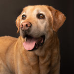Nando, 13 Jahre alt