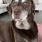Finja