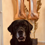 Moritz - happy birthday :)