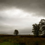 Im Hochmoor bei Ledaig