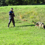 Hares im Trainingslager 2018