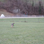 Hares und sein neues Spielzeug