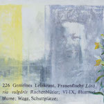 Frauenflachs 2011