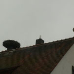 Weißstorch auf Dach in der Egerstr. 10 - Foto: Stefan Wagner
