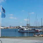 Bild: Blick auf die Segelschiffe