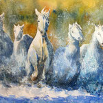 Camargue  SOLD