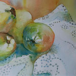 Coings / Quinces