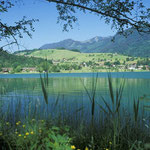 Thiersee