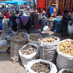 Pérou, origine de la patate, environ 200-300 sortes.