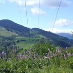 Blick Richtung Fröhnd