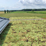 www.eurocarporttec.de