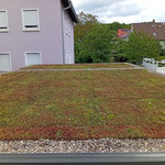 www.eurocarporttec.de