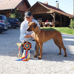 Ubangi's Bashira,CRO-Clubschau, V1 Jugendsieger, Jugend-BOB