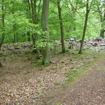 Hünselburg
