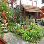 Haus und Vorhof