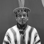 Indigenous climate activist 