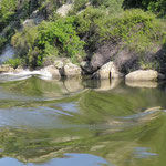 am Gestade - Rio Douro