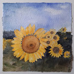 2022. Zonnebloemen 26x26 ( aquarel op Handgeschept Papier)