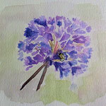 2018. Agapanthus met bijtje, 14x18