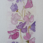 2020. Lathyrus, 18x30