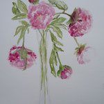 2012. Pioenrozen in vaas, 40x50