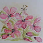 2010. Uitgebloeide Tulpen, 30x30