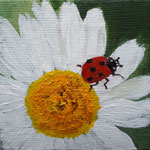 2018. Madeliefje met lieveheersbeestje, (acryl) 6,5x6,5