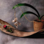 Platz 2: Daniela Kauer, Note 2,30