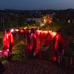 Foto: Thomas Falk